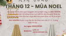 giang-sinh-an-lanh-nha-cua-sang-trong-chi-voi-tam-op-sara-viet-nam