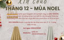 Giáng Sinh An Lành, Nhà Cửa Sang Trọng Chỉ Với Tấm Ốp Sara Việt Nam